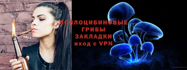 СК Киреевск