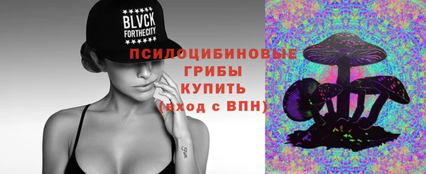 a pvp Киренск